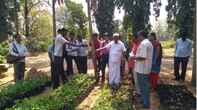 Field visit to the State Horticulture Farm, Athur in Chengalpattu